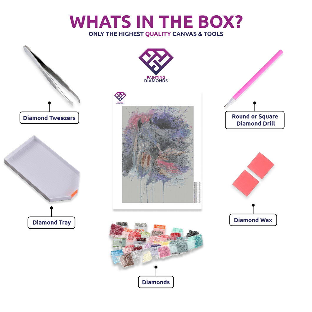 Splashed Equine Spirit - 5D Diamond Painting Kit