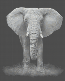 Black & White Elephant - 5D Diamond Painting Kit