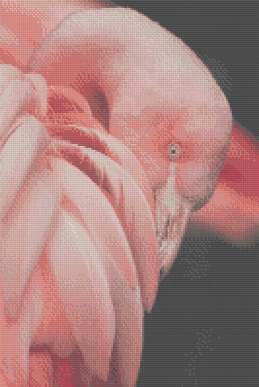 Dance the Flamingo - 5D Diamond Painting Kit