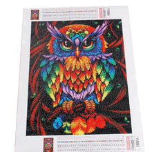 Colourful Owl - 5D Diamond Painting kit