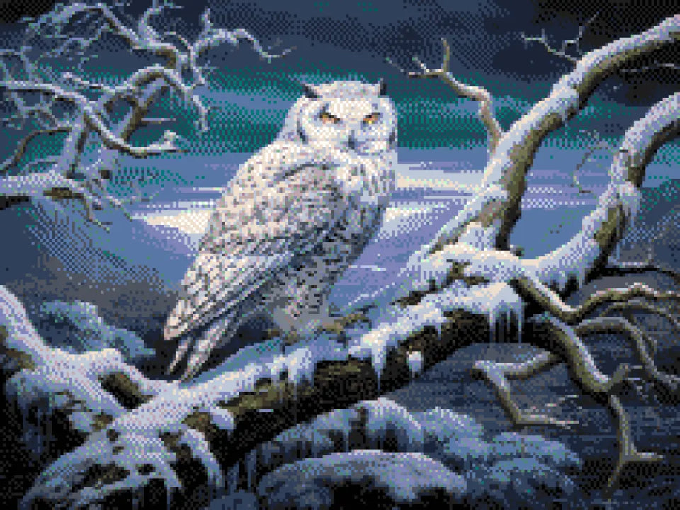 Moonlit Owl - 5D Diamond Painting Kit