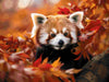 Panda Solitude - 5D Diamond Painting Kit