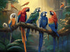 Rainbow Birds - 5D Diamond Painting Kit