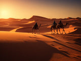 Sahara Silhouettes - 5D Diamond Painting Kit
