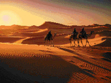 Sahara Silhouettes - 5D Diamond Painting Kit