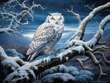 White owl with dark feather markings and yellow-orange eyes on a snowy branch