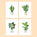 Tropical Houseplants four-pack mini diamond painting set with all designs