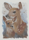 Doe & Fawn - 5D Diamond Painting Kit