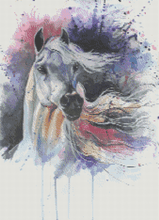 Splashed Equine Spirit - 5D Diamond Painting Kit