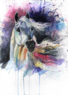 Splashed Equine Spirit - 5D Diamond Painting Kit