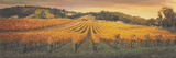 Autumn Winery Escape - 5D Diamond Painting Kit