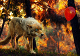 Wolf stepping forward beneath orange and gold tones with nearby birds
