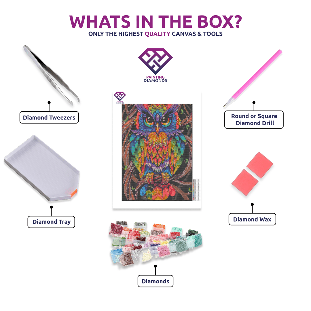 Colourful Owl diamond painting kit contents shown together