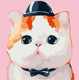 Front-facing cat portrait in pink, cream and orange against dark navy