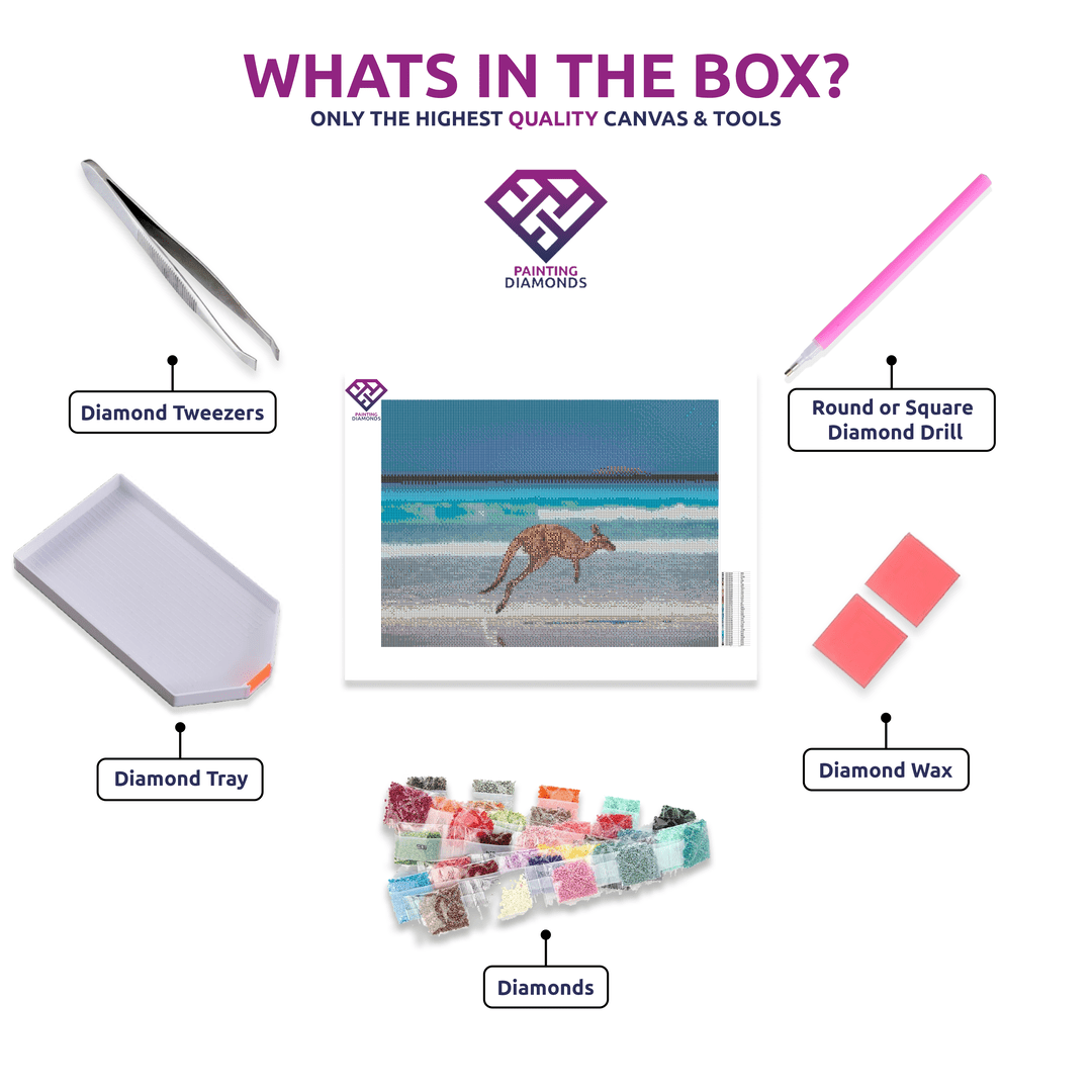 Lucky Bay Roo diamond painting kit contents shown together