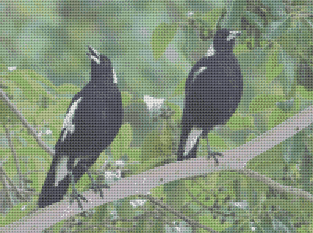 Magpie Duo - 5D Diamond Painting Kit