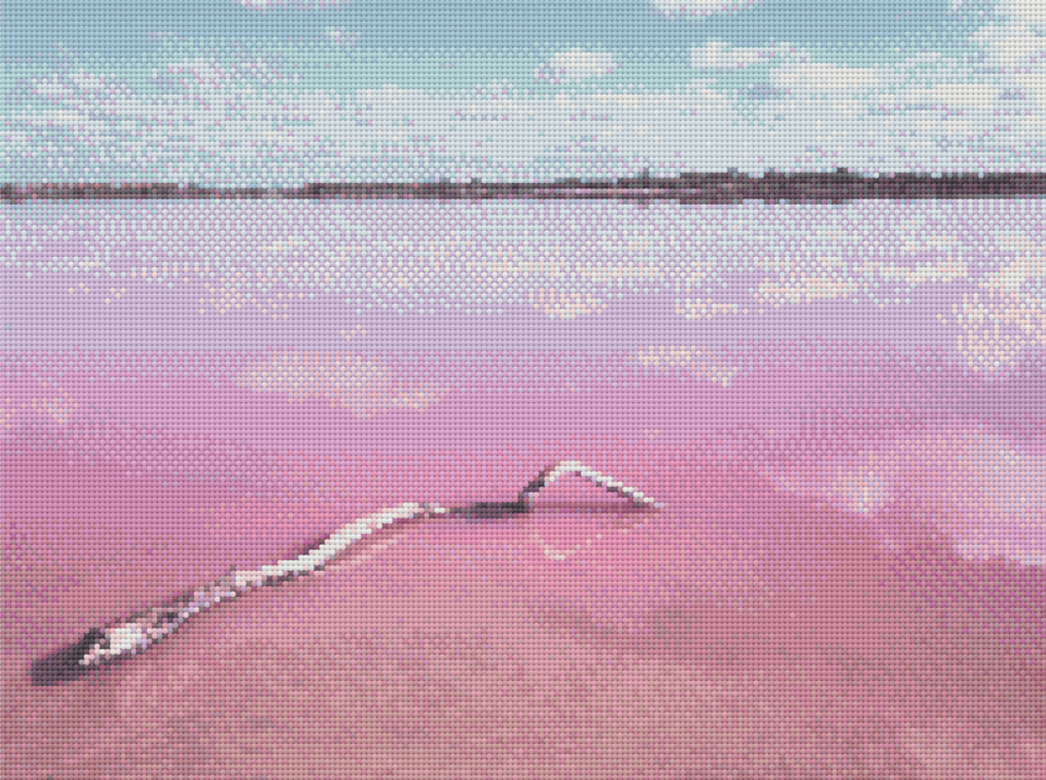 The Pink Lake - 5D Diamond Painting Kit