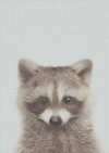 Raccoon - 5D Diamond Painting Kit