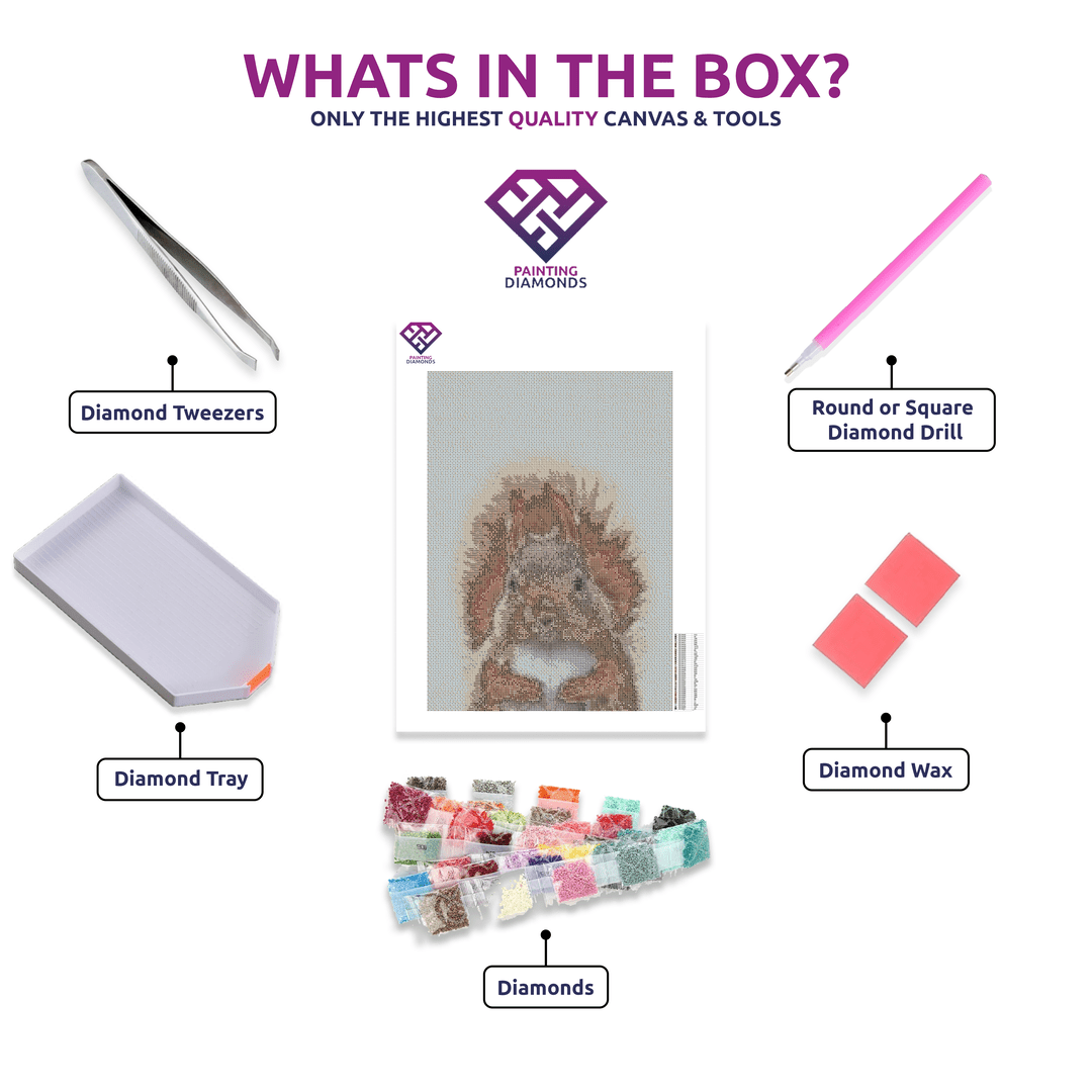 Squirrel - 5D Diamond Painting Kit