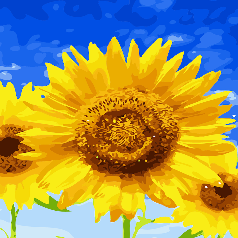Close-up yellow sunflower with a dark brown centre and blue and green accents