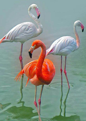 Flamingo Trio  - 5D Diamond Painting Kit